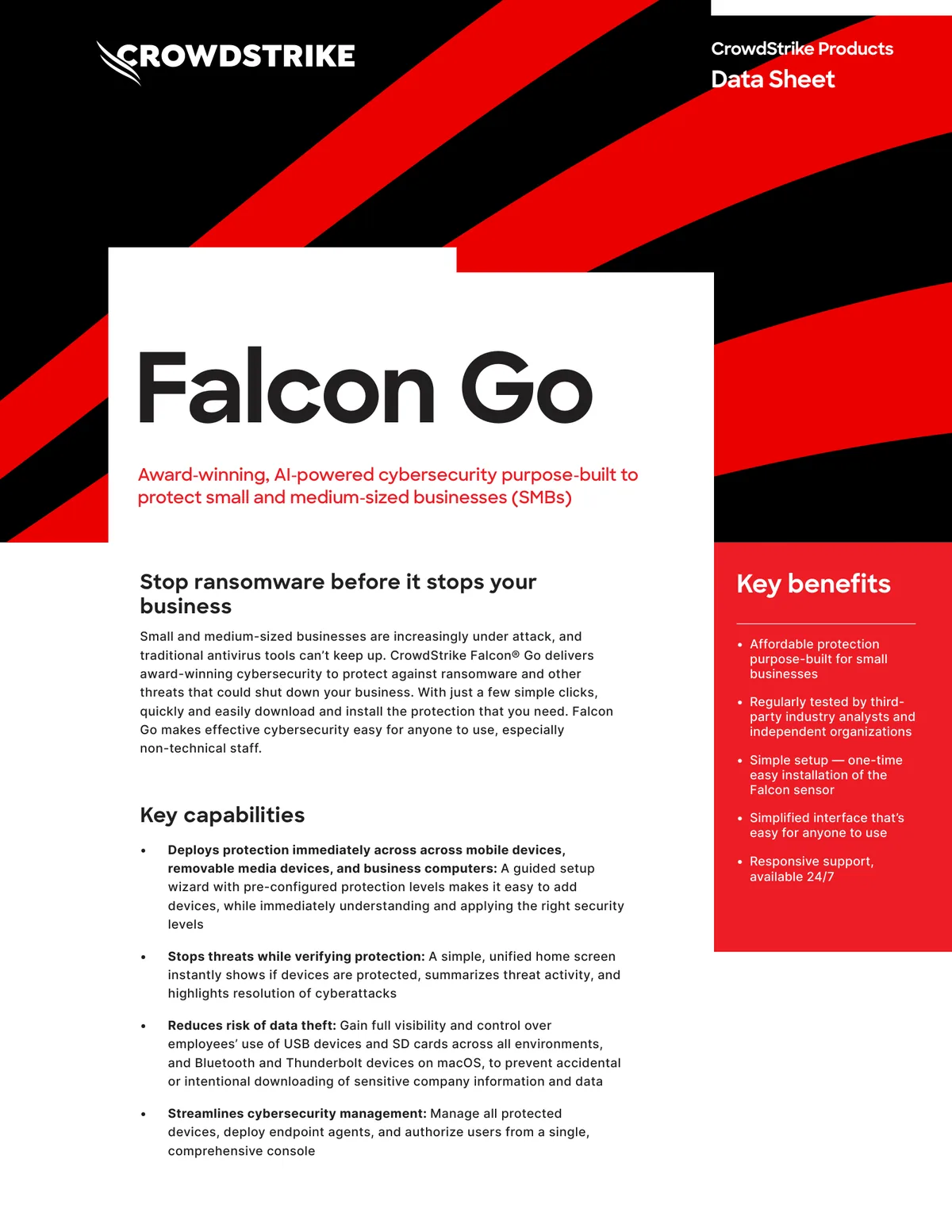 CrowdStrike Falcon Go Data Sheet, a product datasheet example from the endpoint security industry
